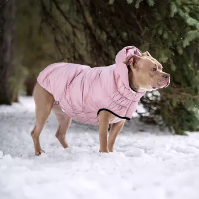 GF PET Elasto-Fit Lunar Glow Sherpa-Lined Dog Parka - Image 8