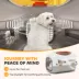 PawHut Hard-Sided Travel Pet Carrier, Plastic Dog and Cat Carrier for Small Dogs & Cats under 9lbs image thumbnail 6