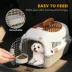 PawHut Hard-Sided Travel Pet Carrier, Plastic Dog and Cat Carrier for Small Dogs & Cats under 9lbs image thumbnail 7