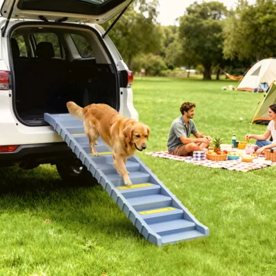 PawHut Foldable Dog Car Ramp with Anti-Slip Steps 60.6"Lx15.7"W - Image 2