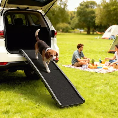 PawHut Folding Pet Ramp with Grass Surface, Raised Side Rails, for Cars, SUVs 61"Lx15.2"W - Image 2