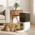 PawHut Automatic Cat Feeder with Camera, 2.4G WiFi, 2-Way Audio, 8L image thumbnail 2
