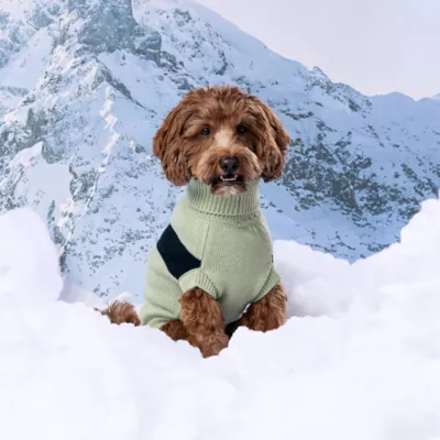 GF PET Catalyst Colorblock Knit Dog Sweater - Image 4