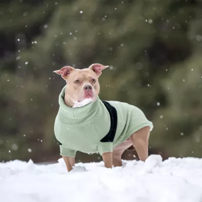 GF PET Catalyst Colorblock Knit Dog Sweater - Image 5