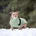 GF PET Catalyst Colorblock Knit Dog Sweater image thumbnail 5