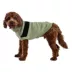 GF PET Catalyst Colorblock Knit Dog Sweater image thumbnail 1