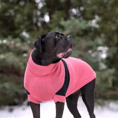 GF PET Catalyst Colorblock Knit Dog Sweater - Image 3