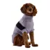 GF PET Catalyst Colorblock Knit Dog Sweater image thumbnail 1