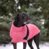 GF PET Catalyst Colorblock Knit Dog Sweater image thumbnail 3