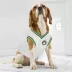 Pets First Boston Celtics Road Dog Jersey image thumbnail 5