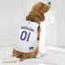 Pets First Golden State Warriors Road Dog Jersey image thumbnail 3
