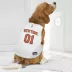 Pets First New York Knicks Road Dog Jersey image thumbnail 4