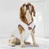 Pets First New York Knicks Road Dog Jersey image thumbnail 5