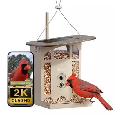 Birdfy Smart Bird Feeder - Metal W - 2K Camera and Full-Color Night Vision - Image 1