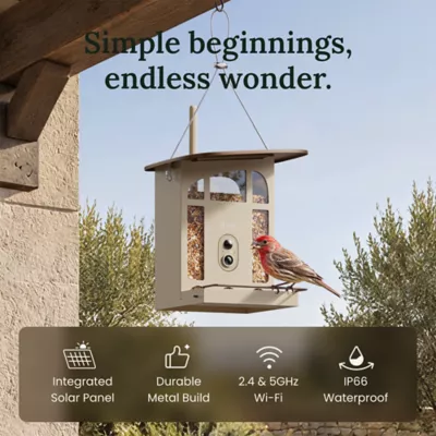 Birdfy Smart Bird Feeder - Metal W - 2K Camera and Full-Color Night Vision - Image 2