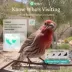 Birdfy Smart Bird Feeder - Metal W - 2K Camera and Full-Color Night Vision image thumbnail 3