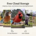 Birdfy Smart Bird Feeder - Metal W - 2K Camera and Full-Color Night Vision image thumbnail 5