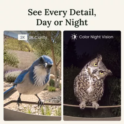 Birdfy Smart Bird Feeder - Metal W - 2K Camera and Full-Color Night Vision - Image 6