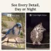 Birdfy Smart Bird Feeder - Metal W - 2K Camera and Full-Color Night Vision image thumbnail 6