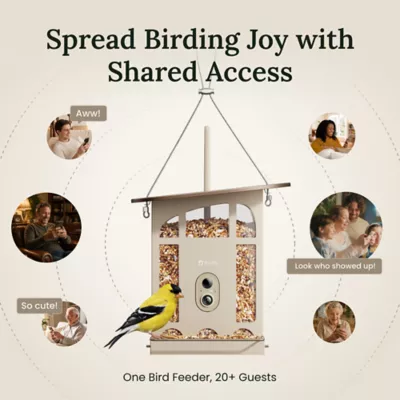 Birdfy Smart Bird Feeder - Metal W - 2K Camera and Full-Color Night Vision - Image 7