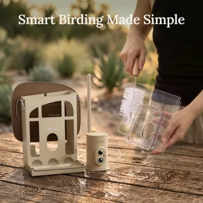 Birdfy Smart Bird Feeder - Metal W - 2K Camera and Full-Color Night Vision - Image 8