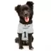 Pets First Jalen Hurts Philadelphia Eagles Road Dog Jersey image thumbnail 4