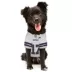 Pets First Josh Allen Buffalo Bills Road Dog Jersey image thumbnail 4
