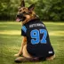 Pets First Aidan Hutchinson Detroit Lions Alt Dog Jersey image thumbnail 3