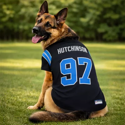 Pets First Aidan Hutchinson Detroit Lions Alt Dog Jersey - Image 3