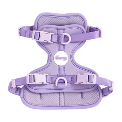THE LICKER STORE Arlo Purple Adjustable Soft Padded No Pull Harness - Image 1