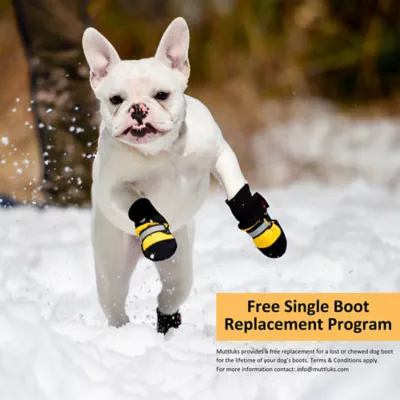 Muttluks Snow Mushers - Dog Winter Boots, Pack of 2 Boots - Image 3