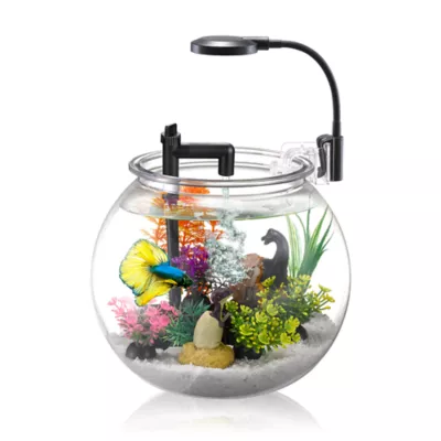 Nubios Betta Bowl Starter Kit with Pump Filter and LED Lighting - Image 2