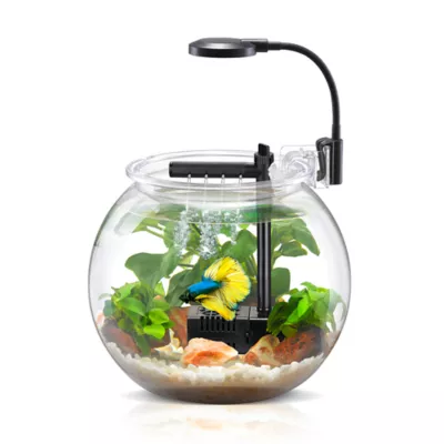 Nubios Betta Bowl Starter Kit with Pump Filter and LED Lighting - Image 3