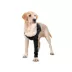 Suitical Dog Recovery Sleeve - Black image thumbnail 2