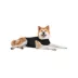 Suitical Dog Recovery Suit - Black image thumbnail 2