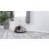 Armarkat Sage Green Faux Suede Paw Print Covered Cat Bed video thumbnail 8