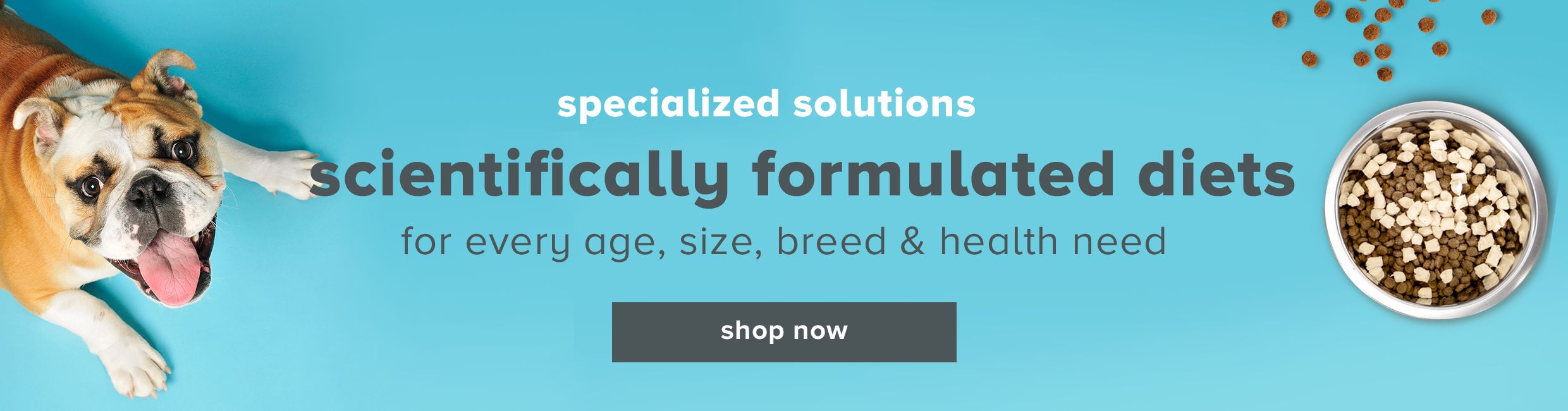 From pampering days & fun playdates to training classes & overnight stays, we're here to help!