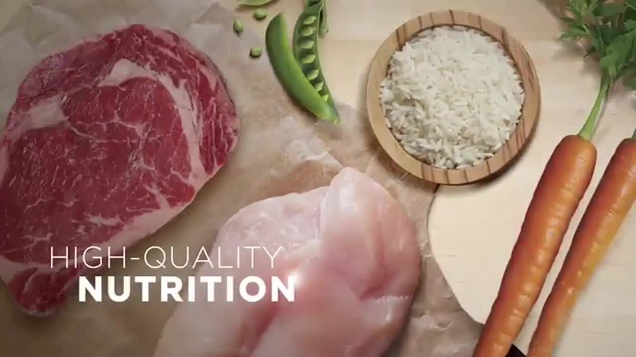 purina one digestive health