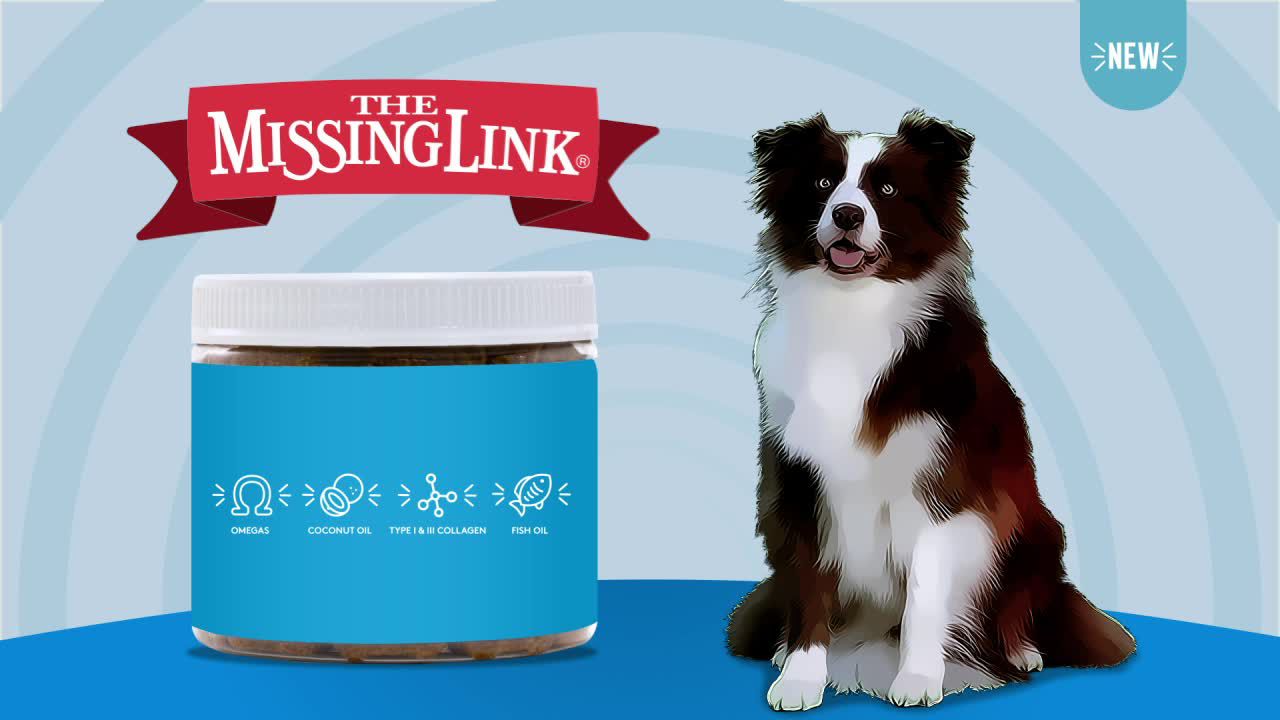 missing link dog supplement petsmart