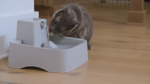 PetSafe Drinkwell Pet Fountain - Dishwasher Safe - Filters Included