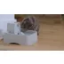 PetSafe® Drinkwell® Pet Fountain - Dishwasher Safe - Filters Included video thumbnail 9