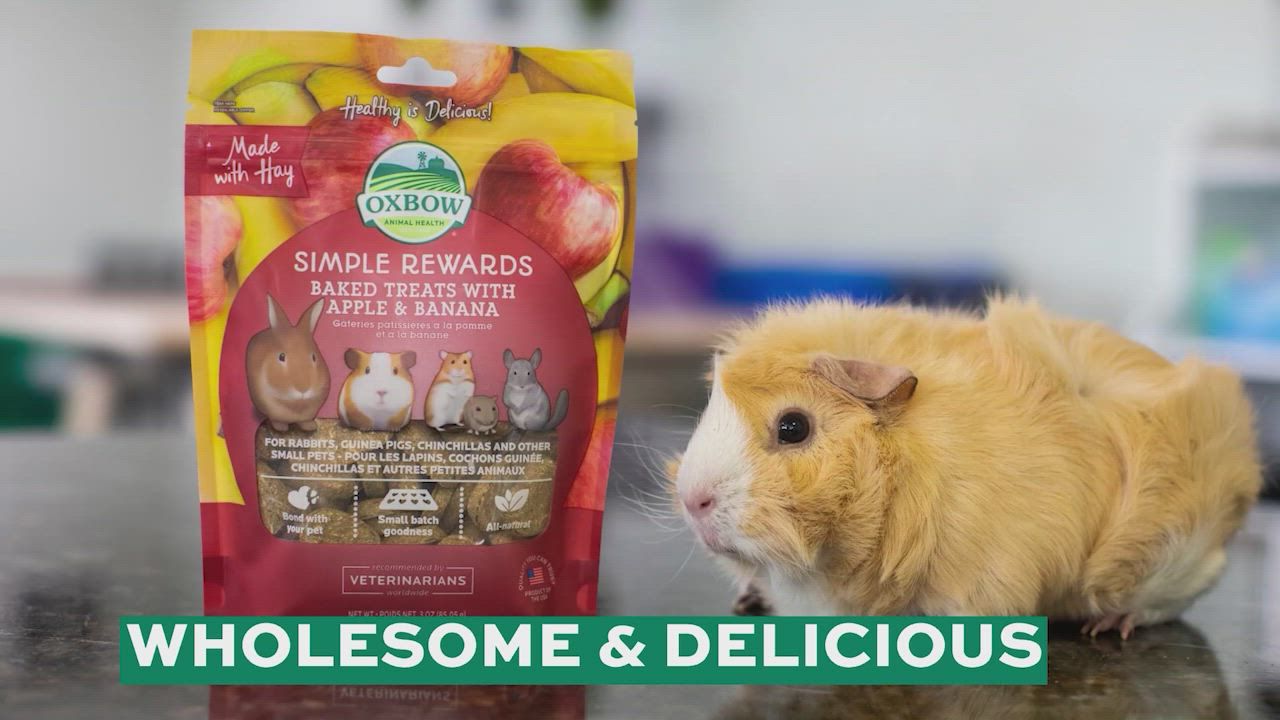 Oxbow Simple Rewards Baked Treats - Apple & Banana - Rabbits