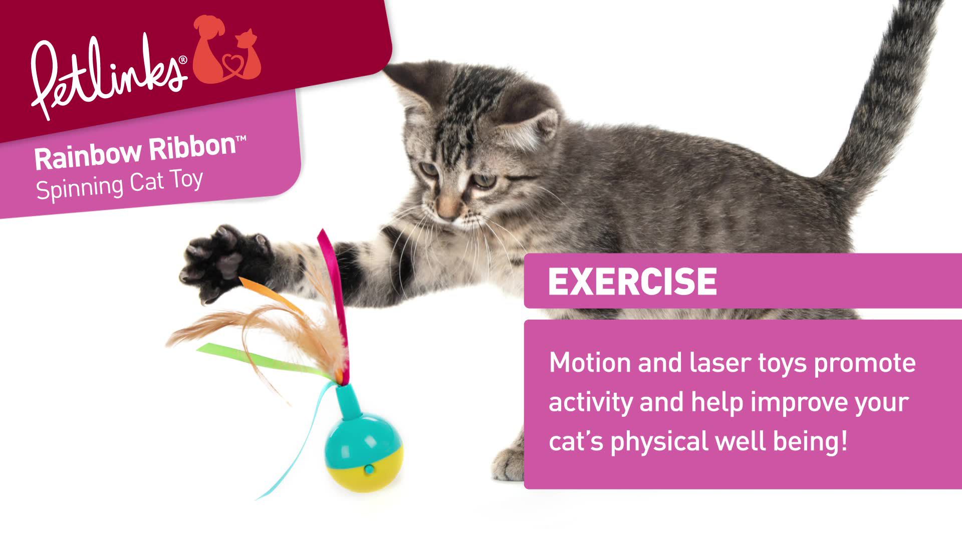 Petlinks Rainbow Ribbon Trade Spinning Electronic Motion Cat Toy Cat Electronic Interactive Petsmart