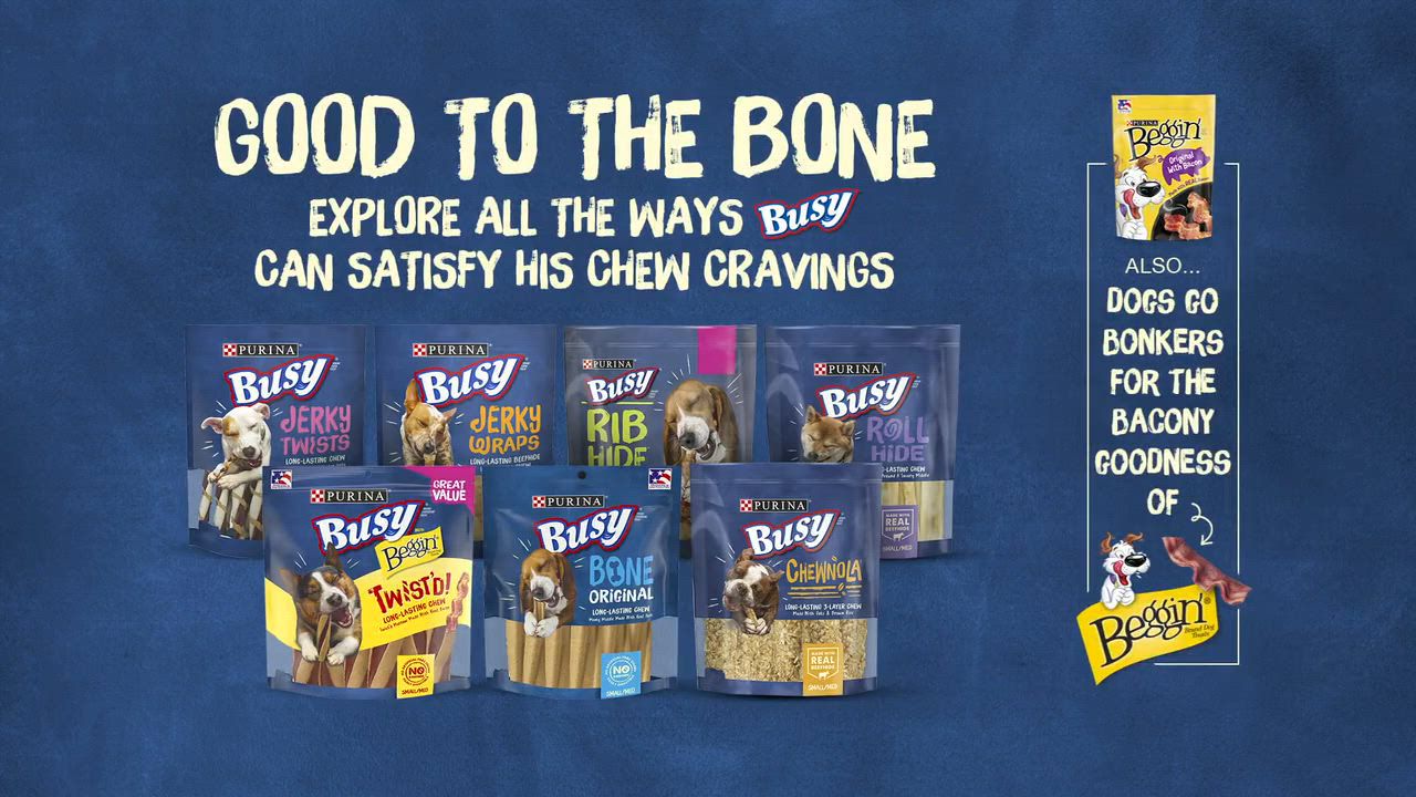 Purina busy bone dog treats best sale