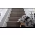 Armarkat Mocha & Earth Brown Faux Suede and Plush Pillow Dog Bed video thumbnail 8