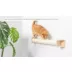 Armarkat Wall-Mounted Real Wood Cat Scratcher video thumbnail 6