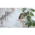 Armarkat 32-in Faux Fur Real Wood Cat Tree & Condo Kitty Pet Play House, Beige video thumbnail 6