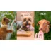 Pet Botanics® Bacon Mini Training Reward Dog Treat video thumbnail 9