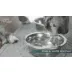 Bungalow Flooring WaterHog Paws & Bones Dog Bowl Placemat video thumbnail 6