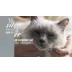 Tiki Cat® Velvet™ Mousse Senior Cat Food - Non-GMO, Salmon, 2.8oz video thumbnail 8